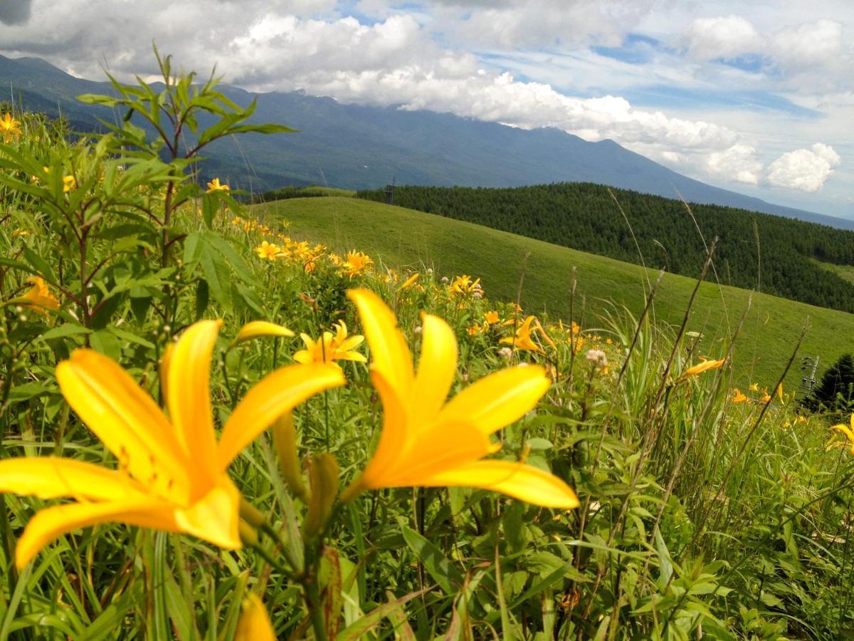 Pension Wildflowers Tateshina  Exterior foto