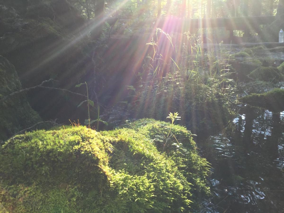 Pension Wildflowers Tateshina  Exterior foto