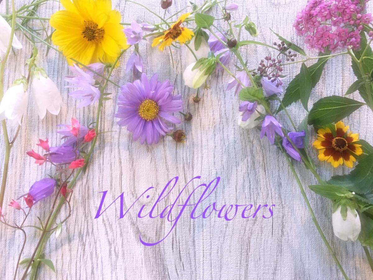 Pension Wildflowers Tateshina  Exterior foto