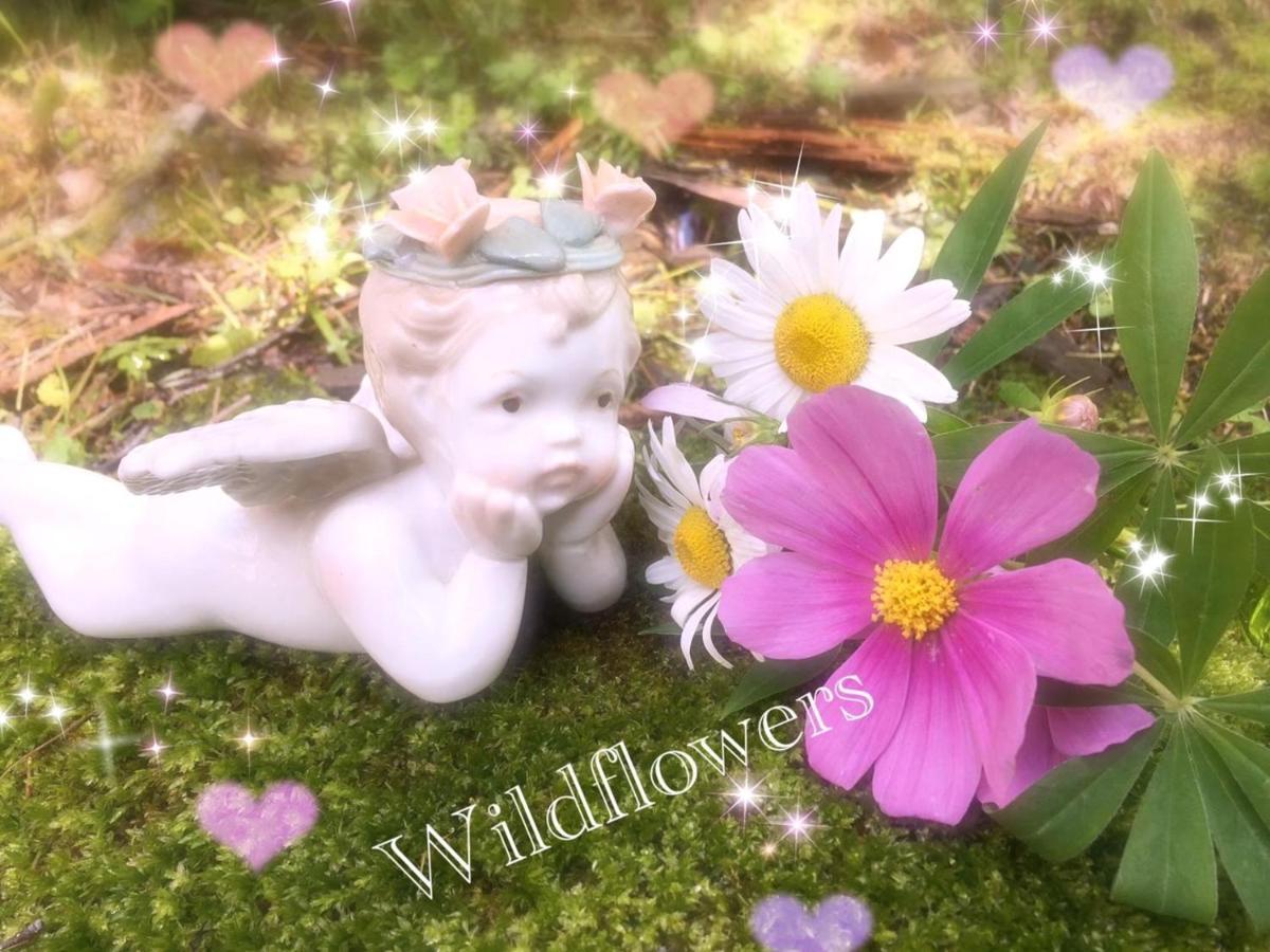 Pension Wildflowers Tateshina  Exterior foto